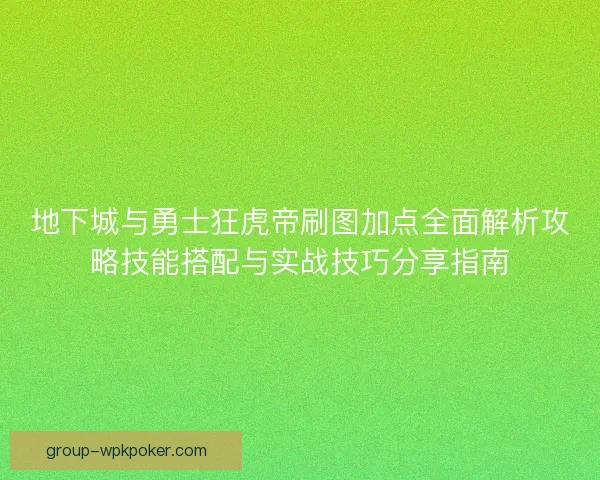 地下城与勇士狂虎帝刷图加点全面解析攻略技能搭配与实战技巧分享指南